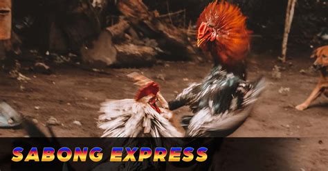 SABONG EXPRESS COCKFIGHT SCHEDULE: .